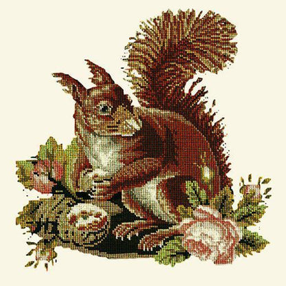 The Squirrel Needlepoint Kit Elizabeth Bradley Design Winter White 