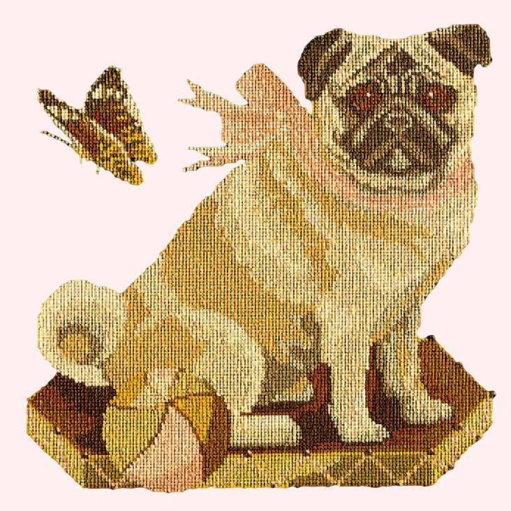 Toby the Pug Needlepoint Kit Elizabeth Bradley Design Cream 