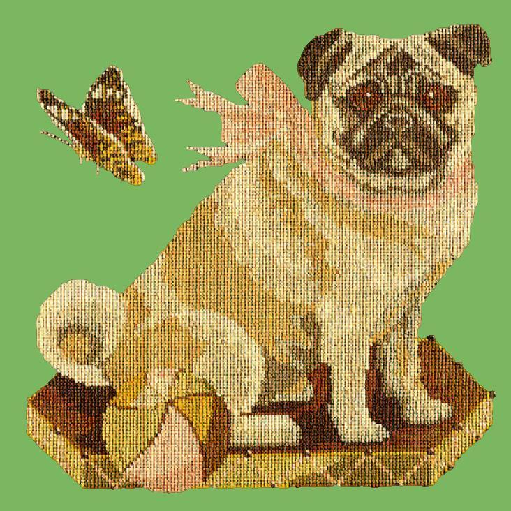 Toby the Pug Needlepoint Kit Elizabeth Bradley Design Grass Green 