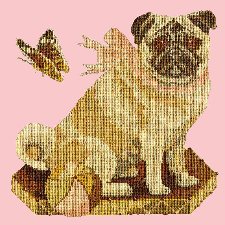 Toby the Pug Needlepoint Kit Elizabeth Bradley Design Pale Rose 