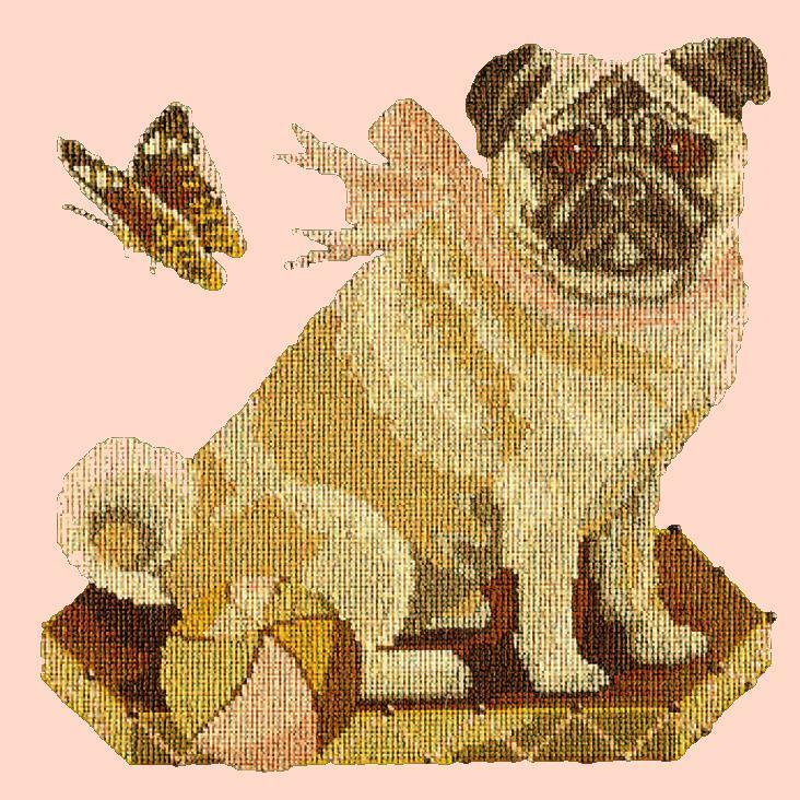 Toby the Pug Needlepoint Kit Elizabeth Bradley Design Salmon Pink 