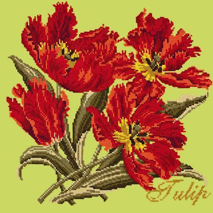 Tulip Needlepoint Kit Elizabeth Bradley Design Pale Lime 