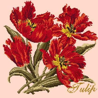 Tulip Needlepoint Kit Elizabeth Bradley Design Salmon Pink 