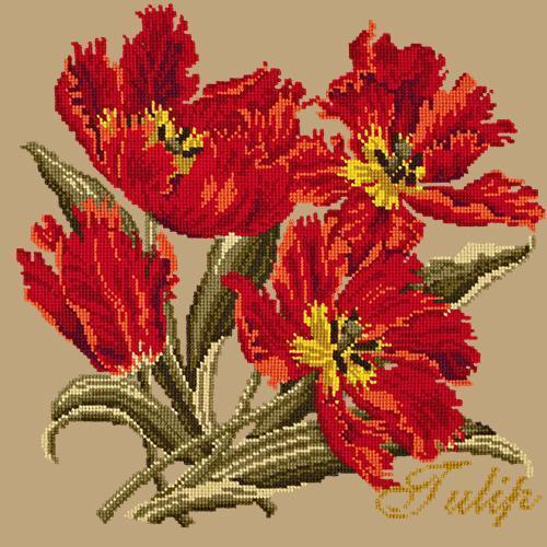 Tulip Needlepoint Kit Elizabeth Bradley Design Sand 