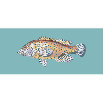 Vermilion Seabass Needlepoint Kit Elizabeth Bradley Design Duck Egg Blue 