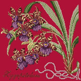 Zygopetalum (Ladybird Orchid) Needlepoint Kit Elizabeth Bradley Design Bright Red 