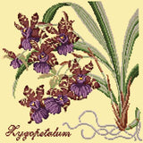 Zygopetalum (Ladybird Orchid) Needlepoint Kit Elizabeth Bradley Design Butter Yellow 