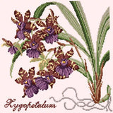Zygopetalum (Ladybird Orchid) Needlepoint Kit Elizabeth Bradley Design 