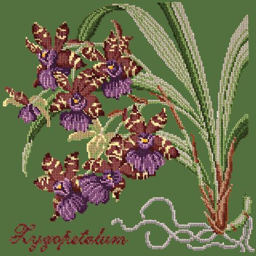 Zygopetalum (Ladybird Orchid) Needlepoint Kit Elizabeth Bradley Design Dark Green 