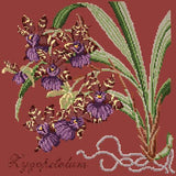 Zygopetalum (Ladybird Orchid) Needlepoint Kit Elizabeth Bradley Design Dark Red 