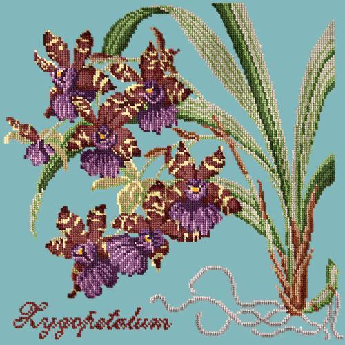 Zygopetalum (Ladybird Orchid) Needlepoint Kit Elizabeth Bradley Design Duck Egg Blue 