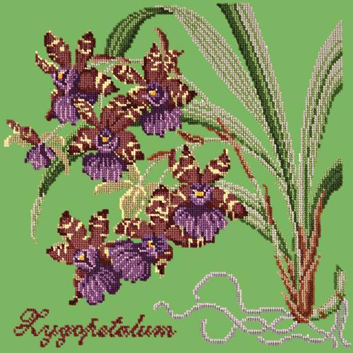 Zygopetalum (Ladybird Orchid) Needlepoint Kit Elizabeth Bradley Design Grass Green 