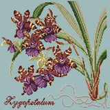 Zygopetalum (Ladybird Orchid) Needlepoint Kit Elizabeth Bradley Design Pale Blue 