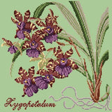 Zygopetalum (Ladybird Orchid) Needlepoint Kit Elizabeth Bradley Design Pale Green 