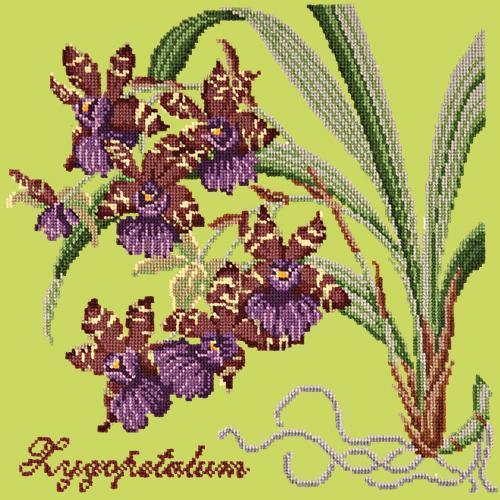 Zygopetalum (Ladybird Orchid) Needlepoint Kit Elizabeth Bradley Design Pale Lime 