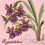 Zygopetalum (Ladybird Orchid) Needlepoint Kit Elizabeth Bradley Design Pale Rose 