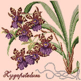 Zygopetalum (Ladybird Orchid) Needlepoint Kit Elizabeth Bradley Design Salmon Pink 