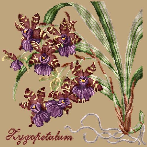Zygopetalum (Ladybird Orchid) Needlepoint Kit Elizabeth Bradley Design Sand 