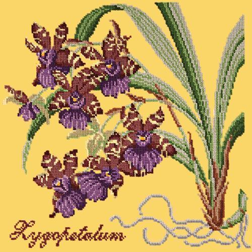 Zygopetalum (Ladybird Orchid) Needlepoint Kit Elizabeth Bradley Design Sunflower Yellow 