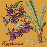 Zygopetalum (Ladybird Orchid) Needlepoint Kit Elizabeth Bradley Design Yellow 